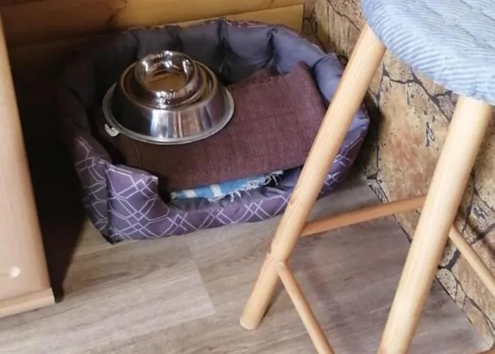 Václav Iv Apartamento